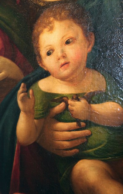Detail z 