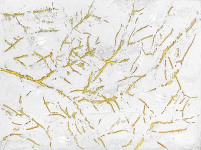 Zlatá organická struktura od Alyson Storms