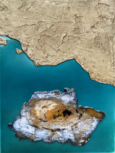 Pobřeží Zkamenělého ostrova od Alyson Storms