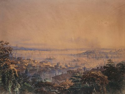 Pohled na Konstantinopol, 1866 od Amadeo Preziosi