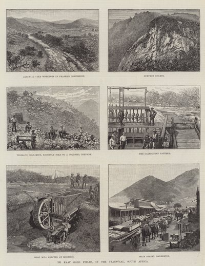 Cape Gold Fields, v Transvaal, Jižní Afrika od Amedee Forestier