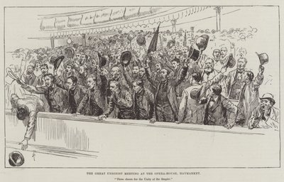 Velké setkání unionistů v Opera-House, Haymarket od Amedee Forestier