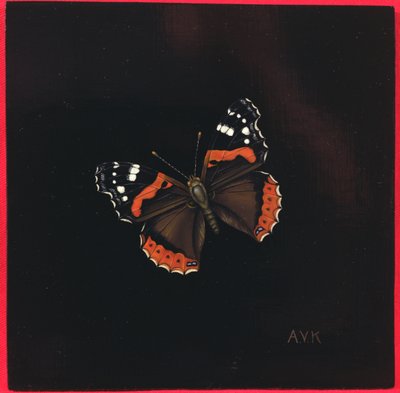 Červený admirál motýl, 2001 od Amelia Kleiser