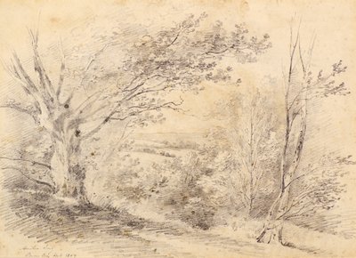Bromley Hill od Amelia Long
