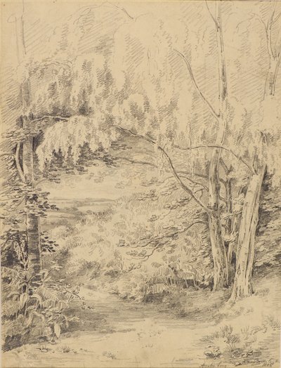 Bromley Hill od Amelia Long