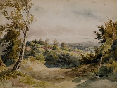 Z Bromley od Amelia Long
