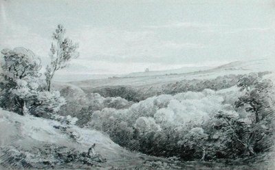 Whitby Abbey, z Mulgrave od Amelia Long