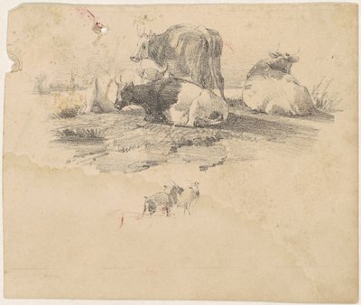 Stáda skotu od American 19th Century