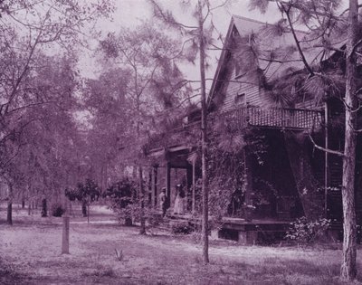 Dům ve stínu Southern Pines na Floridě (černobílá fotografie) od American Photographer (after)
