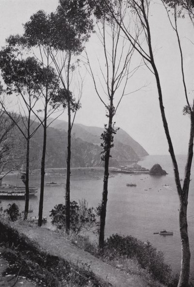 Kalifornie: Avalonský záliv, ostrov Santa Catalina, kouzelná země hrou v Tichém oceánu, 30 mil od pevniny jižní Kalifornie (čb fotografie) od American Photographer (after)