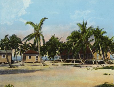 Chaty v Long Key Fishing Camp (foto) od American Photographer (after)