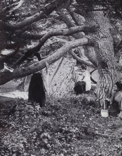 Japonské dívky mezi starými borovicemi vedle starověkého císařského příkopu v Tokiu (č/b foto) od American Photographer (after)