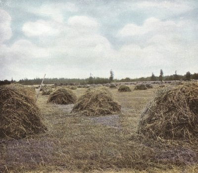 Oregon: Alfalfa (foto) od American Photographer (after)