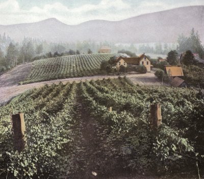 Oregon: Diverzifikované zemědělství ve Willamette Valley (foto) od American Photographer (after)
