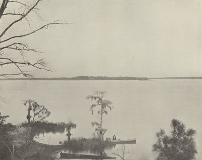 Pamlico River, Severní Karolína (černobílá fotografie) od American Photographer (after)