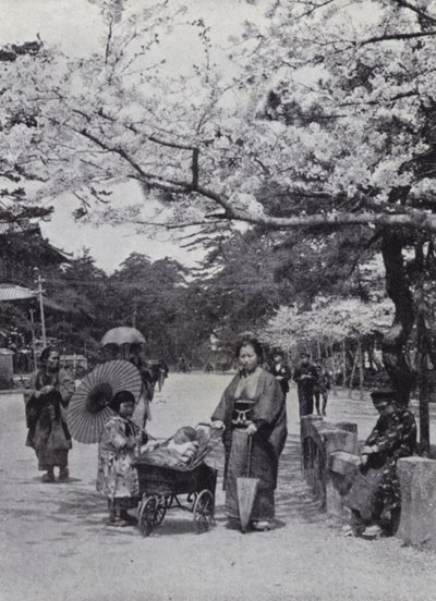 Pod třešňovým květem v Shiba Park, Tokio (č/b foto) od American Photographer (after)