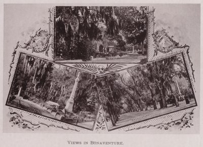 Pohledy v Bonaventure (černobílá fotografie) od American Photographer (after)