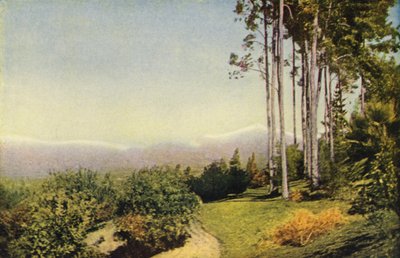 Krajina jižní Kalifornie poblíž Redlands (barevné foto) od American Photographer