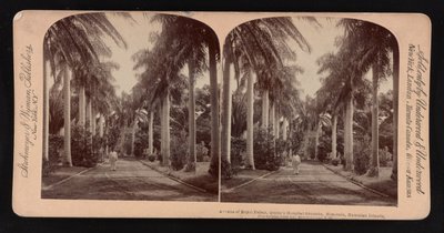 Avenue královských palem, areál Queen