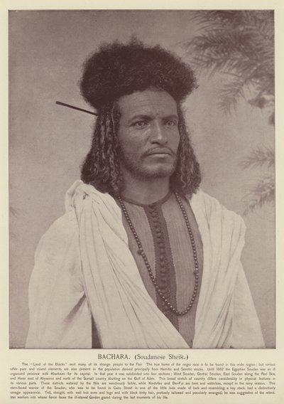 Bachara, súdánský šejk od American Photographer