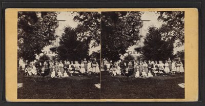 Děti a hřiště, Oneida Community, stát New York, cca 1870 (č/b fotografie) od American Photographer
