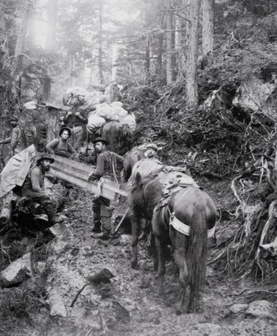 Lezení po Dyea Trail na cestě do Chilkoot Pass během zlaté horečky na Klondike (1897-98) (černobílá fotografie) od American Photographer
