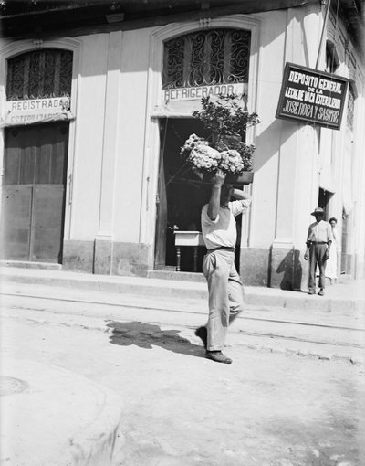 Prodejce květin, Havana, kolem roku 1910 (černobílá fotografie) od American Photographer