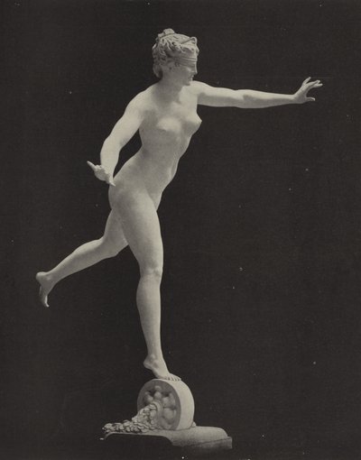 Fortuna od American Photographer