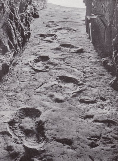 Zkamenělé stopy mamutů, Carson City, Nevada, USA (čb fotografie) od American Photographer