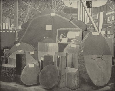 Gladstones Axe od American Photographer