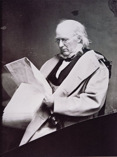 Horace Greeley (1811-72) (černobílá fotografie) od American Photographer