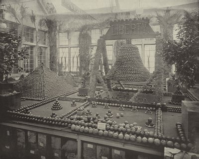 Liberty Bell v pomerančích od American Photographer