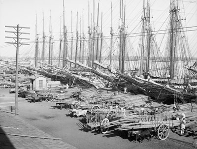 Muelle Tallapiedras, Havana, kolem roku 1904 (černobílá fotografie) od American Photographer