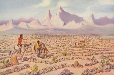 Tajemné bludiště indiánů Mojave, poblíž Needles, Kalifornie (kolorovaná fotografie) od American Photographer
