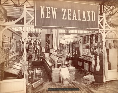 Nový Zéland, Mezinárodní výstava stoletého výročí, 1876 (tisk alba) od American Photographer