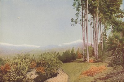 "Old Baldy" ze Smiley Heights, Kalifornie (kolorovaná fotografie) od American Photographer