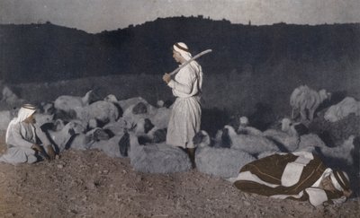 Palestinští pastýři hlídající v noci své stádo (kolorovaná fotografie) od American Photographer