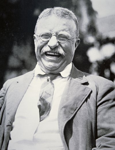 Prezident Theodore Roosevelt, kolem roku 1917 (černobílá fotografie) od American Photographer