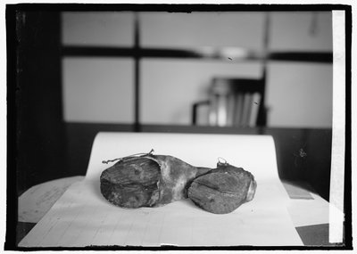 Jednotka zákazu (Kravské boty), 28. června 1924 (čb foto) od American Photographer