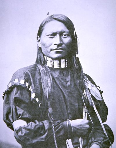 Červený panter od American Photographer
