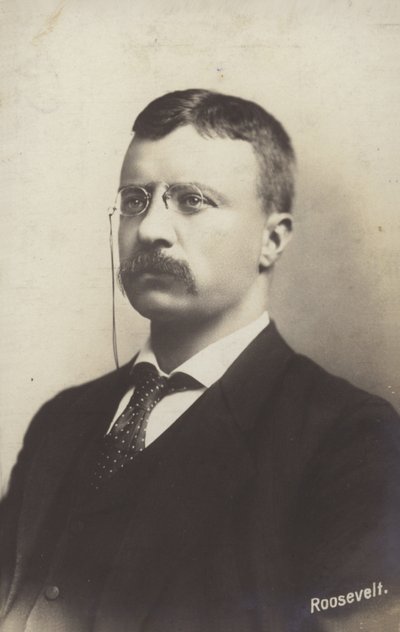 Roosevelt od American Photographer