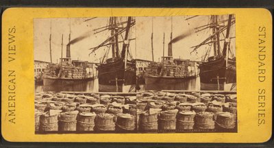 Stereoskopický pohled na parník "Planter", Charleston, S.C. od American Photographer