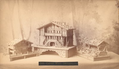 Švýcarské chalupy, vyřezávané modely, Mezinárodní výstava stého výročí Philadelphie, 1876 (stříbrný potisk) od American Photographer