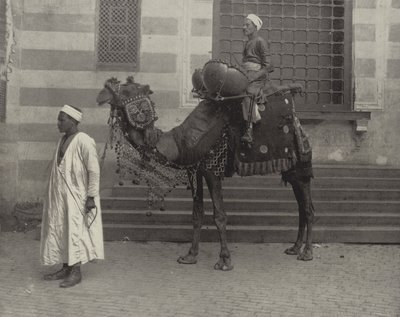 Egypťan Tom-Tom od American Photographer