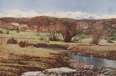 Snowy Range, poblíž Trinidadu, Colorado (kolorovaná fotografie) od American Photographer