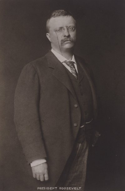 Theodore Roosevelt, 26. prezident Spojených států, 1904 od American Photographer