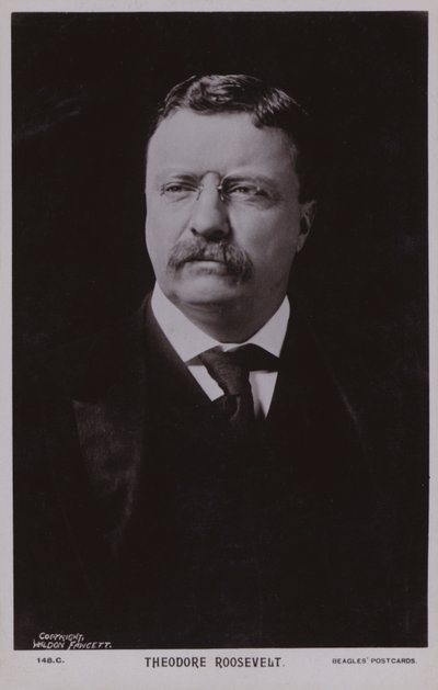 Theodore Roosevelt, americký politik a 26. prezident Spojených států (čb fotografie) od American Photographer