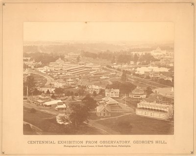 Pohled na Centennial International Exhibition, z observatoře, Georges Hill, Philadelphia, 1876 (stříbrný albínový tisk) od American Photographer