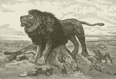 Dirge in the African Desert, z obrazu J N Nettleship od American School