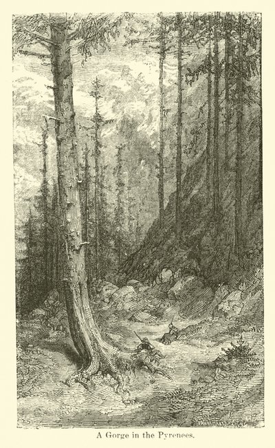 Soutěska v Pyrenejích od American School
